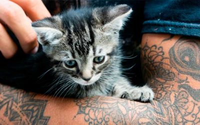 Can nurses have tattoos?