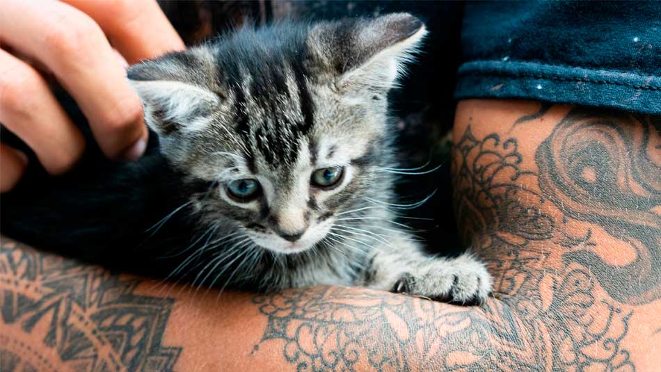 Can nurses have tattoos? Can nurses have tattoos?